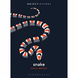 ISBN Snake, Anglais, Livre broché, 160 pages