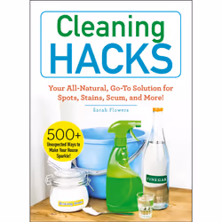 ISBN Cleaning Hacks, maison &amp; jardin, Anglais, Livre broché, 256 pages