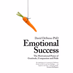 ISBN Emotional Success, Anglais, Couverture rigide, 320 pages