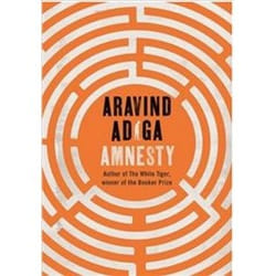 ISBN Amnesty livre Roman Anglais