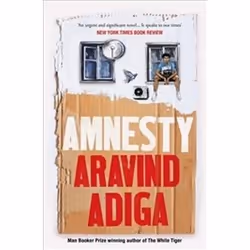 ISBN Amnesty, Roman, Anglais, 352 pages