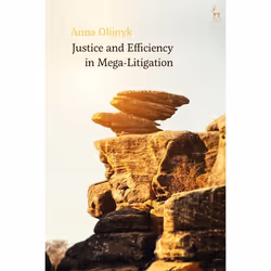 ISBN Justice and Efficiency in Mega-Litigation, Loi, Anglais, Couverture rigide, 192 pages