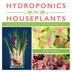 ISBN Hydroponics for Houseplants livre maison & jardin Anglais