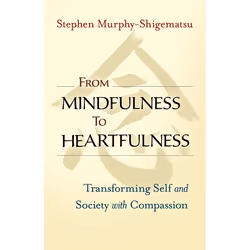 ISBN From Mindfulness to Heartfulness, Livre broché, 256 pages