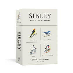 Sibley Birds of Land Sea and Sky by David Allen Sibley