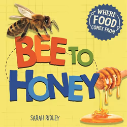 Hachette UK Bee to Honey, Anglais, Couverture rigide, 24 pages