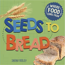 Hachette UK Seeds to Bread, Anglais, Couverture rigide, 24 pages