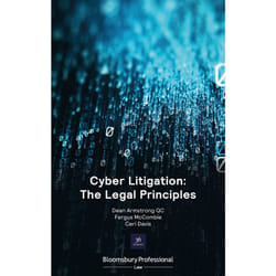 ISBN Cyber Litigation: The Legal Principles