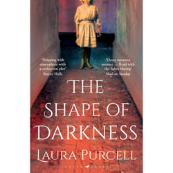 THE SHAPE OF DARKNESS