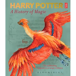 ISBN Harry Potter - A History of Magic (The Book of the Exhibition), Anglais, Livre broché, 256 pages