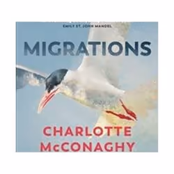 ISBN Migrations, Roman, Anglais, Livre broché, 272 pages