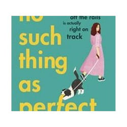 ISBN No Such Thing as Perfect livre Roman Anglais Couverture rigide
