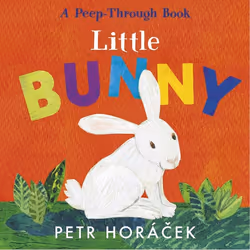 ISBN Little Bunny, 16 pages
