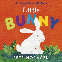 ISBN Little Bunny livre