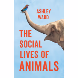 ISBN The Social Lives of Animals, Littérature scientifique, Anglais, Couverture rigide, 384 pages