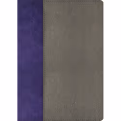 ISBN The Jeremiah Study Bible, NKJV: Gray and Purple LeatherLuxe Limited Edition, Santé, esprit et corps, Anglais, 2176 pages