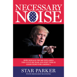 ISBN Necessary Noise livre politique Anglais Couverture rigide