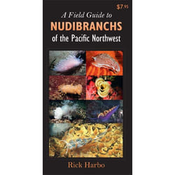 ISBN A Field Guide to Nudibranchs of the Pacific Northwest