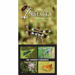 ISBN A Field Guide to Insects of the Pacific Northwest, Anglais, 2 pages
