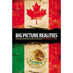 ISBN Big Picture Realities