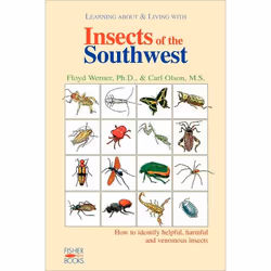 ISBN Insects Of The Southwest, Science & nature, Anglais, Livre broché, 176 pages