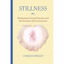 ISBN Stillness, Livre broché, 264 pages