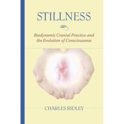 ISBN Stillness livre