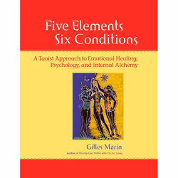 ISBN Five Elements, Six Conditions, Livre broché, 224 pages