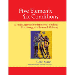 ISBN Five Elements, Six Conditions livre
