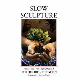 ISBN Slow Sculpture, Couverture rigide, 312 pages