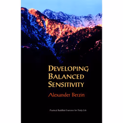 ISBN Developing Balanced Sensitivity, Livre broché, 238 pages