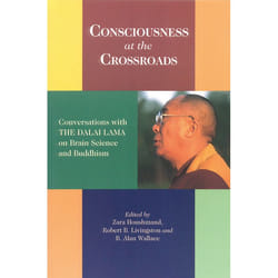 ISBN Consciousness at the Crossroads livre