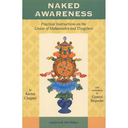 ISBN Naked Awareness livre