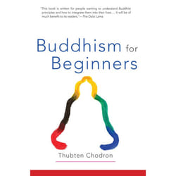 ISBN Buddhism for Beginners livre