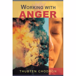 ISBN Working with Anger, Livre broché, 176 pages