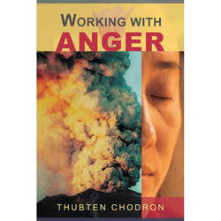 ISBN Working with Anger livre