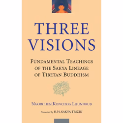 ISBN Three Visions, Livre broché, 256 pages