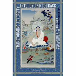 ISBN Transforming Adversity into Joy and Courage, Livre broché, 312 pages