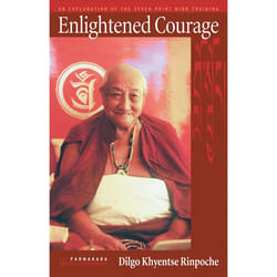 ISBN Enlightened Courage livre