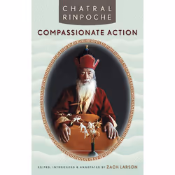 ISBN Compassionate Action, biographie, Anglais, Livre broché, 160 pages