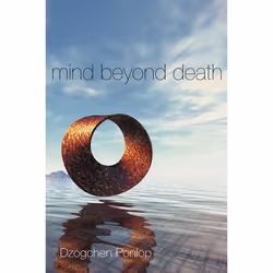 ISBN Mind Beyond Death, Livre broché, 352 pages