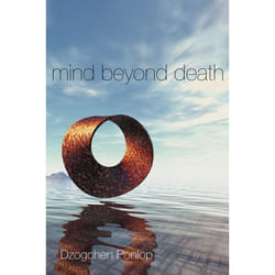 ISBN Mind Beyond Death livre
