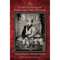ISBN Light Of Fearless Indestructible Wisdom livre biographie Anglais