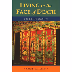 ISBN Living in the Face of Death, Livre broché, 240 pages