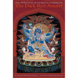 ISBN The Dark Red Amulet, Livre broché, 240 pages