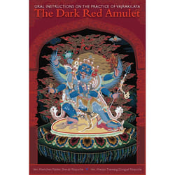 ISBN The Dark Red Amulet livre