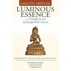 ISBN Luminous Essence livre Couverture rigide