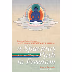 ISBN A Spacious Path to Freedom, Livre broché, 240 pages