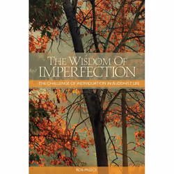 ISBN The Wisdom of Imperfection, Livre broché, 336 pages