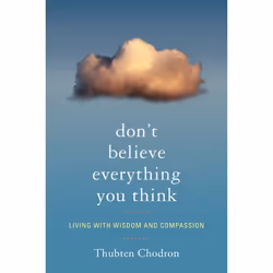 ISBN Don’t Believe Everything You Think, Livre broché, 256 pages